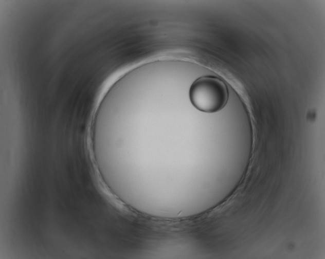 X0000102470960200808081006