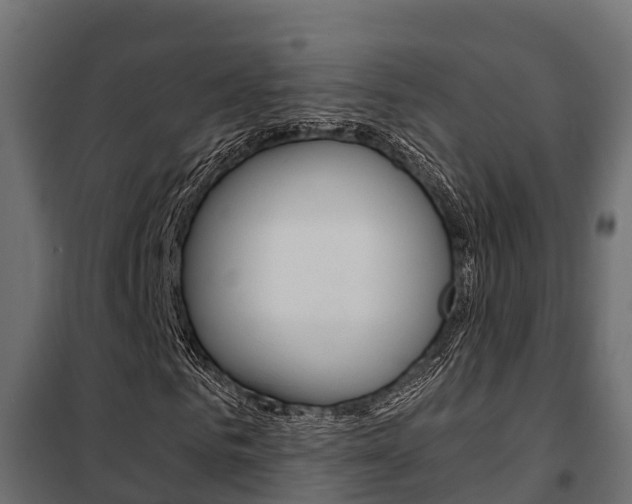 X0000102470961200808081006