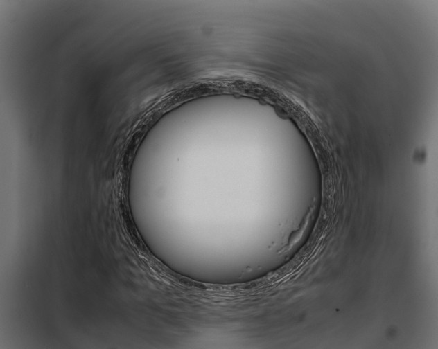 X0000102470965200808081006