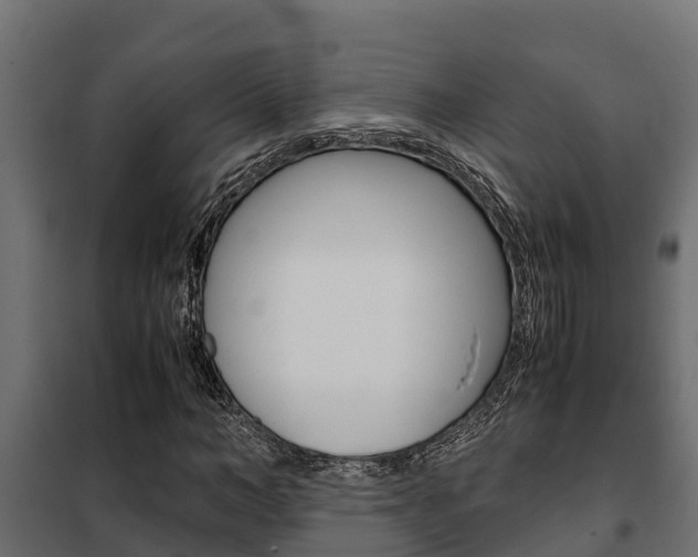 X0000102470966200808081006