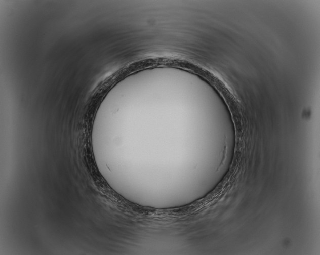 X0000102470967200808081006