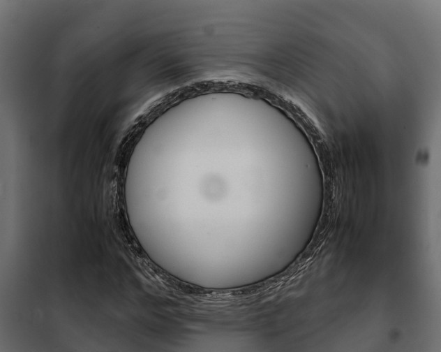 X0000102470968200808081005