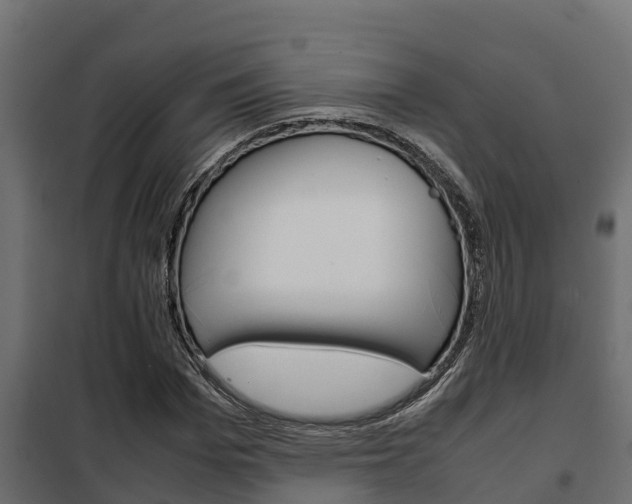 X0000102470969200808081005