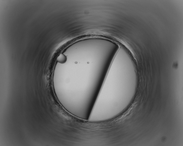 X0000102470971200808081005