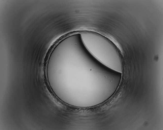 X0000102470972200808081005