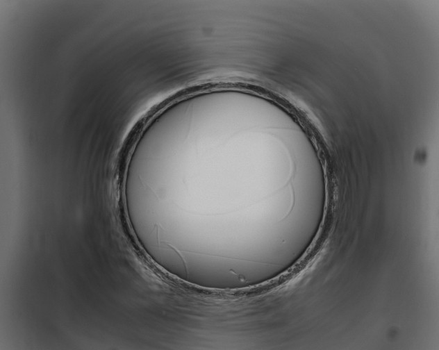 X0000102470973200808081005