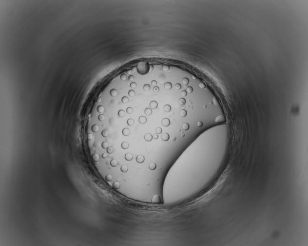 X0000102470974200808081005
