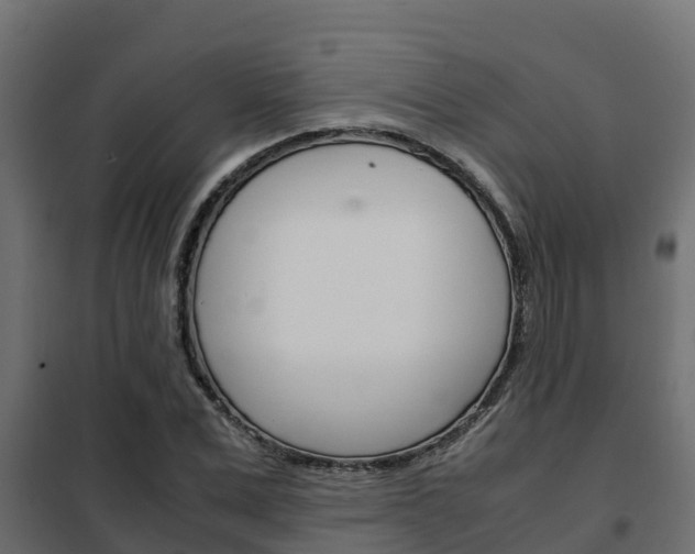 X0000102470975200808081005