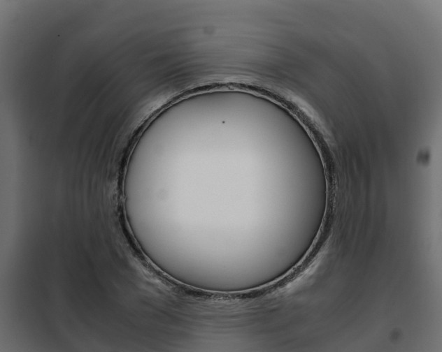 X0000102470977200808081005