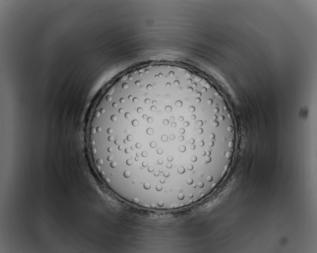 X0000102470978200808081005