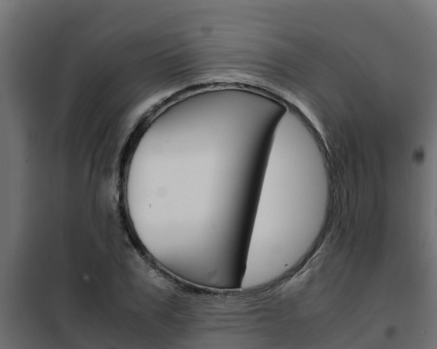 X0000102470979200808081005