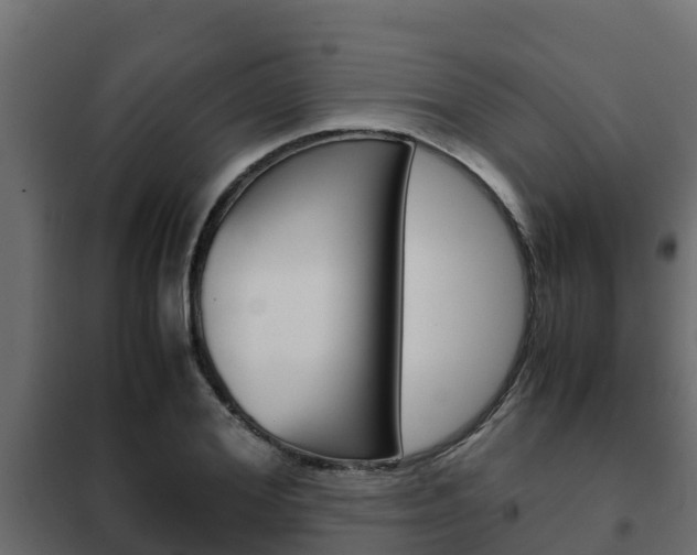 X0000102470980200808081005