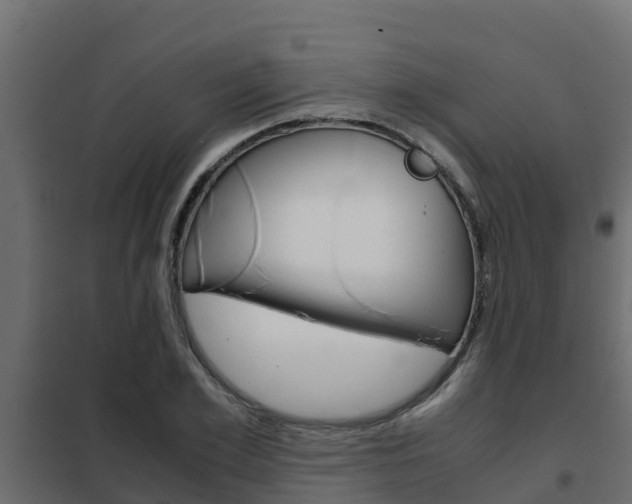 X0000102470981200808081005