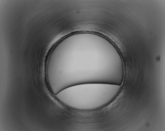 X0000102470982200808081005