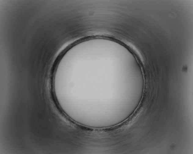 X0000102470983200808081005