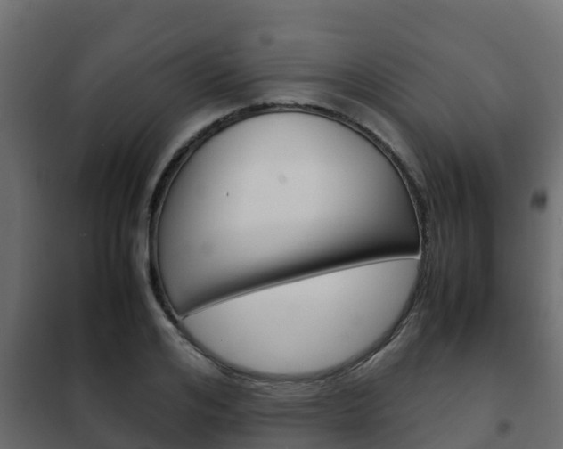 X0000102470984200808081005