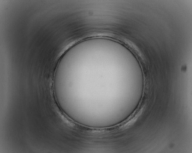 X0000102470985200808081005