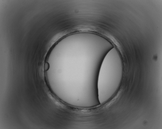 X0000102470986200808081005