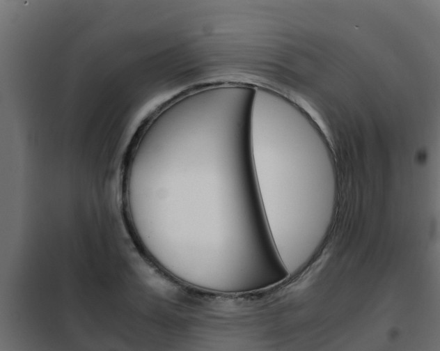 X0000102470987200808081005