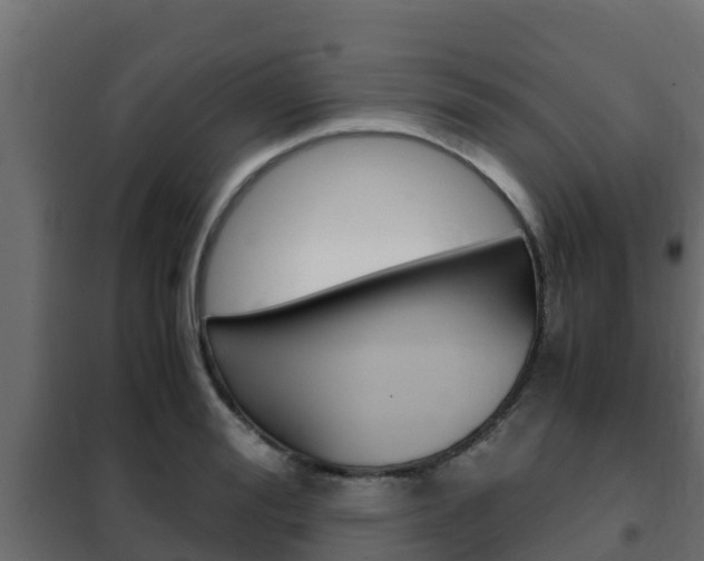 X0000102470988200808081005