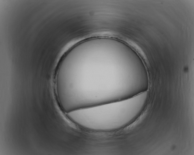X0000102470989200808081005