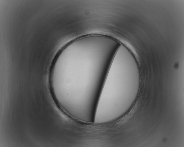 X0000102470991200808081005