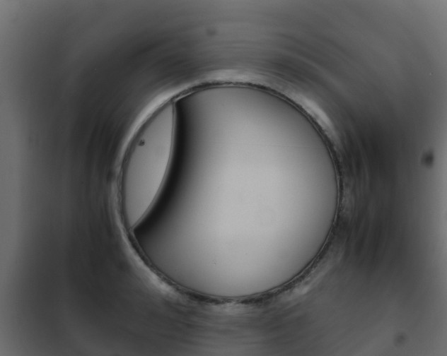 X0000102470992200808081005