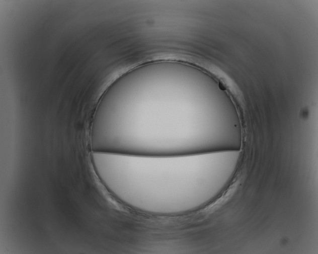 X0000102470993200808081005