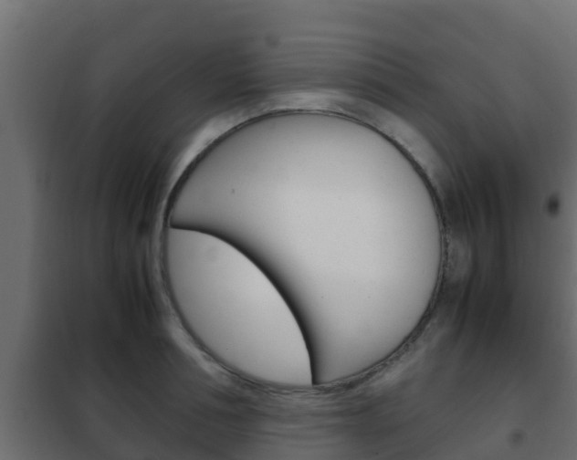 X0000102470994200808081005