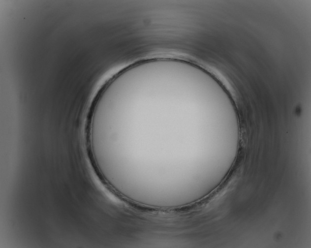 X0000102470995200808081005