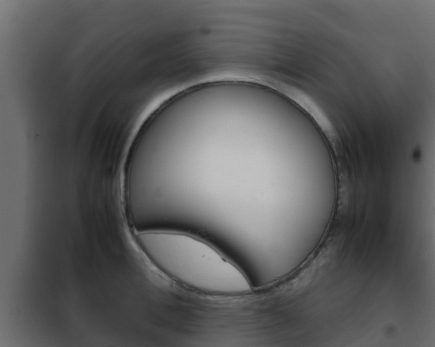 X0000102470996200808081005