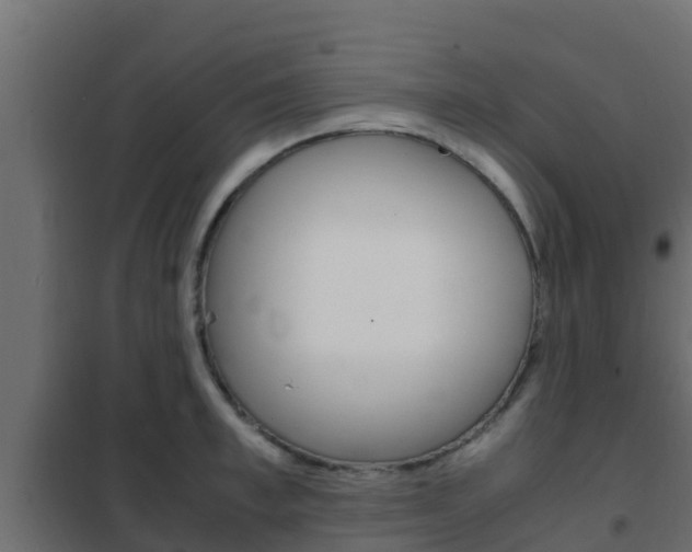 X0000102470997200808081005