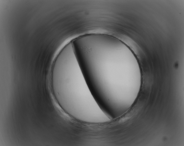 X0000102471000200808081005