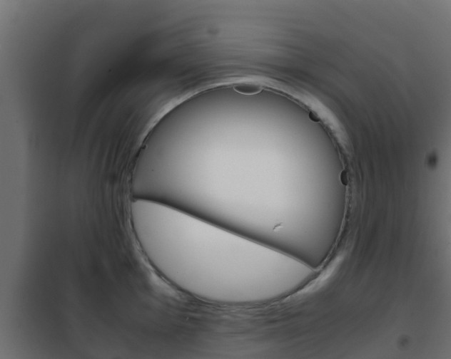 X0000102471001200808081005