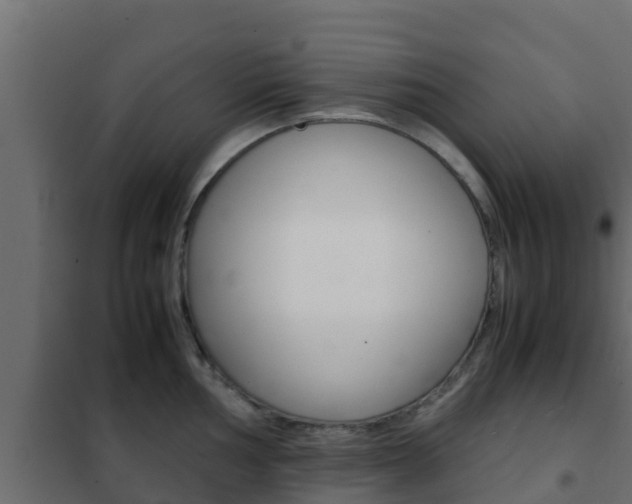 X0000102471002200808081005