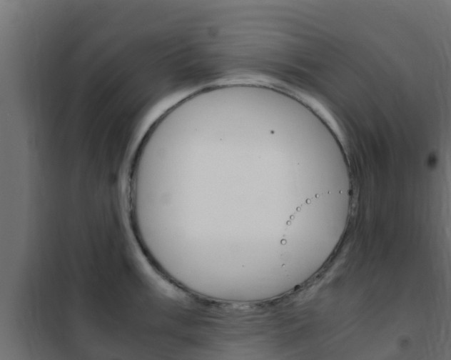 X0000102471003200808081005