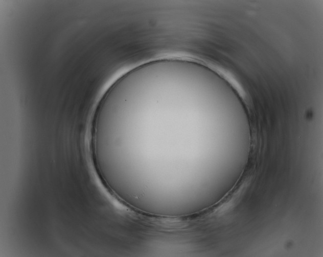 X0000102471007200808081005