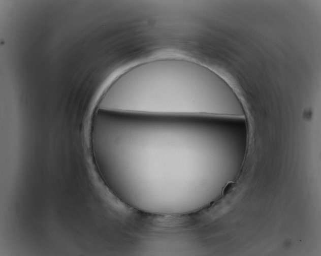 X0000102471008200808081005