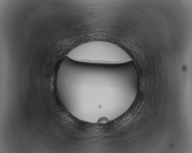 X0000102471010200808081004