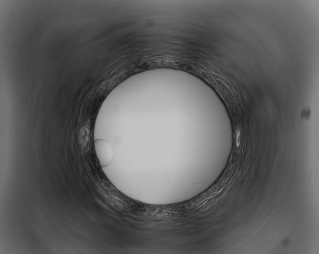 X0000102471011200808081004