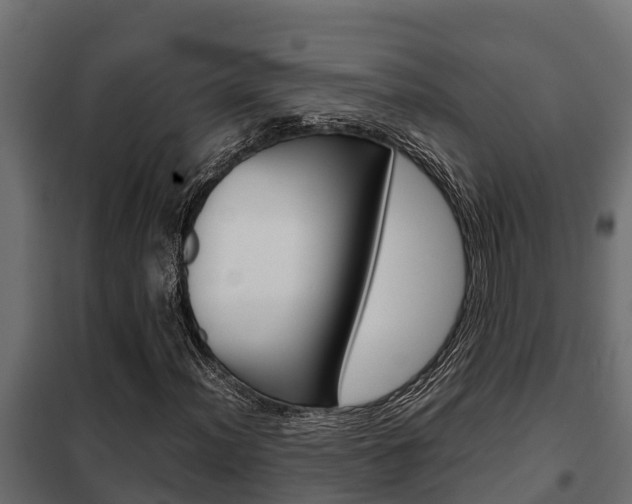 X0000102471012200808081004
