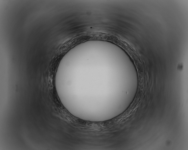 X0000102471013200808081004