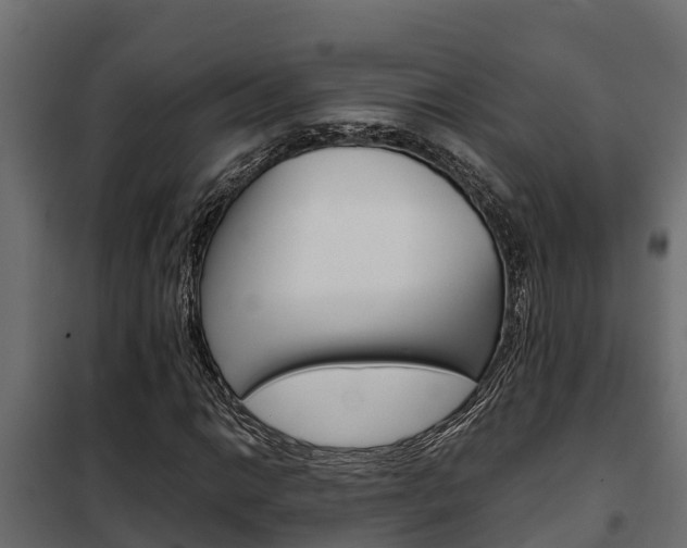 X0000102471014200808081004