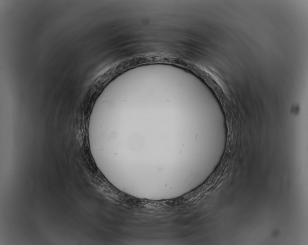 X0000102471015200808081004