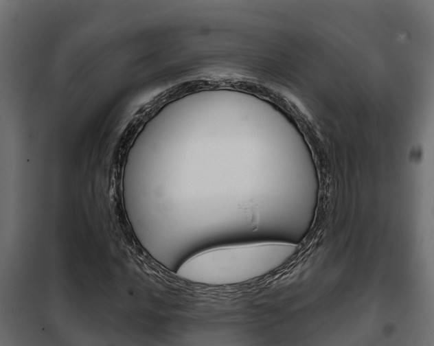 X0000102471016200808081004
