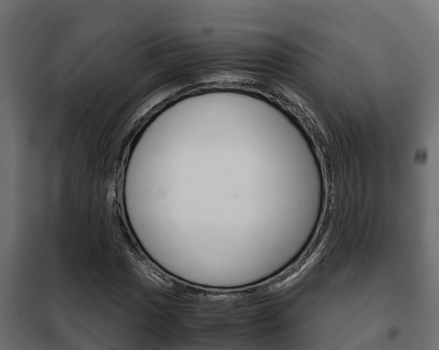 X0000102471017200808081004