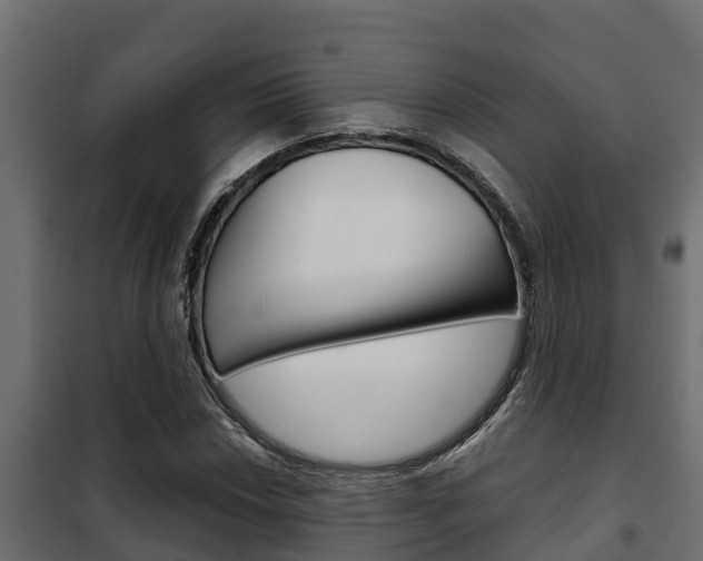 X0000102471018200808081004