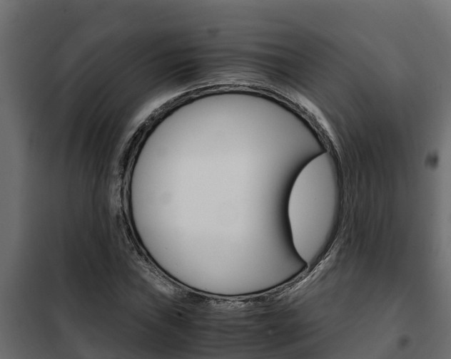 X0000102471019200808081004