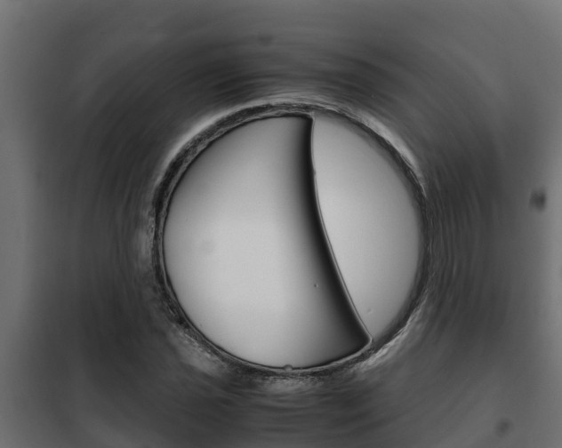 X0000102471021200808081004