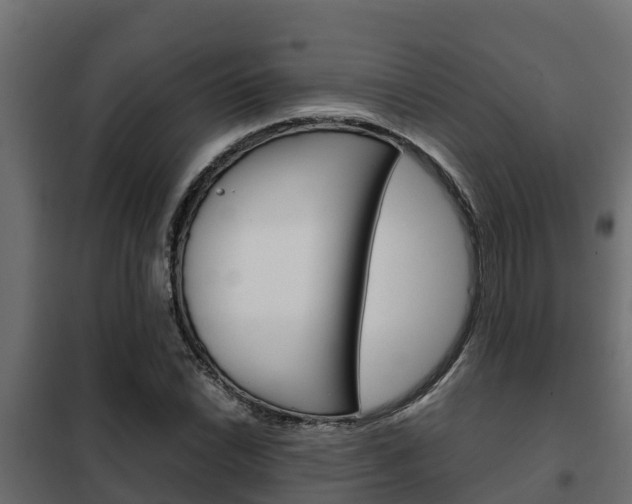 X0000102471022200808081004